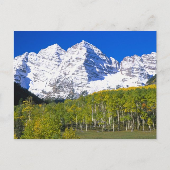 Carte Postale Clochers Maroon avec forêt de trembles en automne. (Devant)
