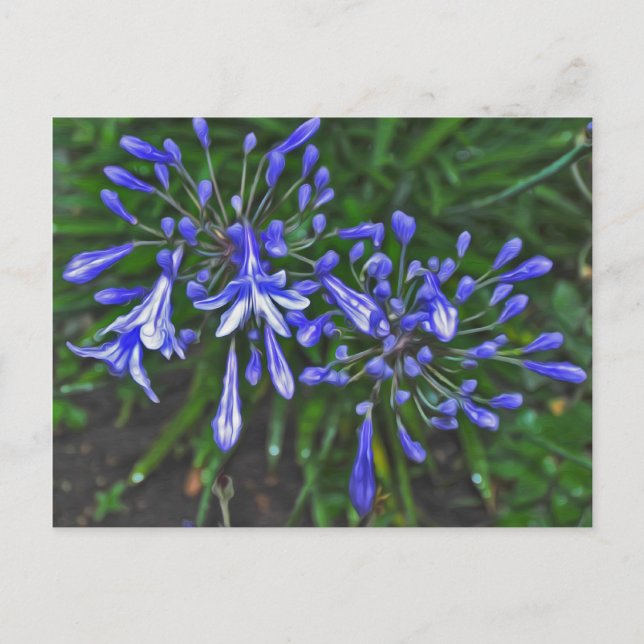 Carte Postale Cloches bleues (Devant)