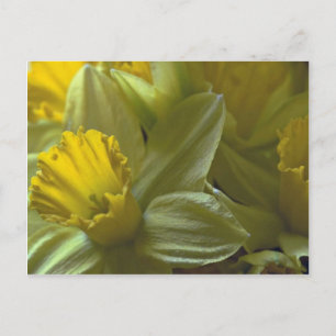 Carte Postale Cloches Sur Les Lames Feuille