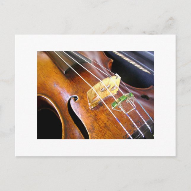 Carte Postale Closeup de violon (Devant)
