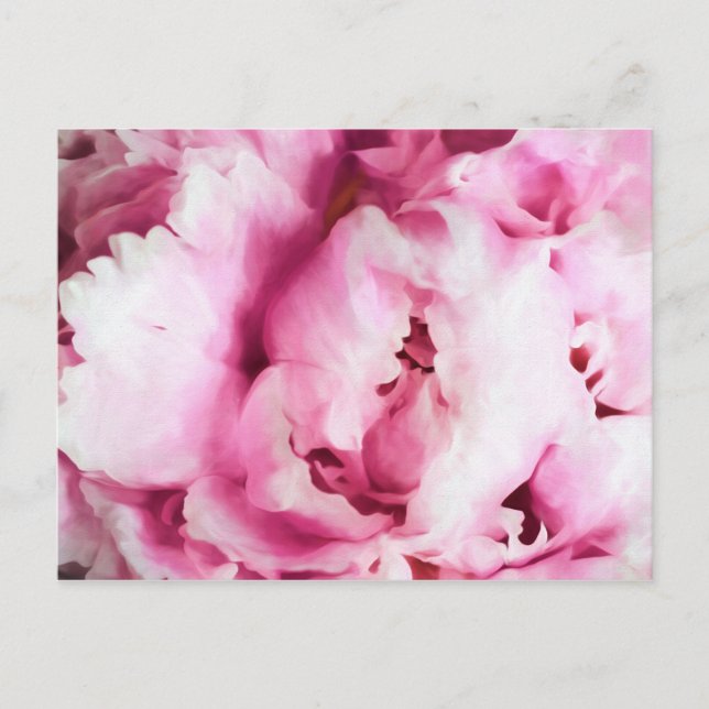 Carte Postale Closeup d'une peinture de pivoine rose (Devant)