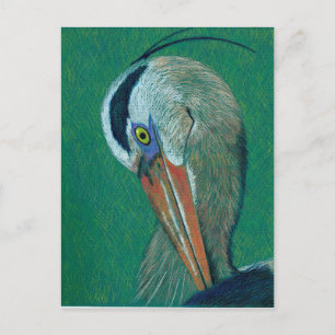 Carte Postale Closeup Heron