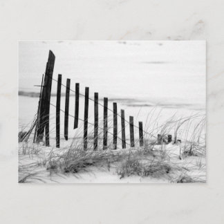 Carte Postale Clôture des dunes dans la neige