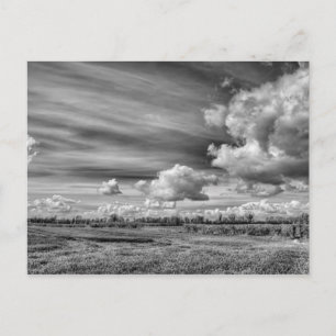 Carte Postale Clouds de rattrapage (B&W)