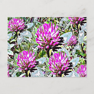 Carte Postale Clover rouge du Vermont