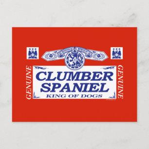 Carte Postale Clumber Spaniel