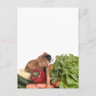 Carte Postale cobaye dans un panier de légumes