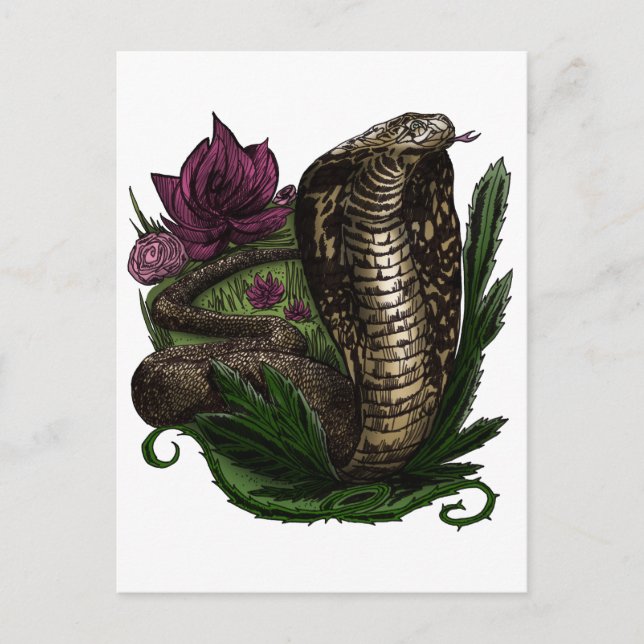 Carte Postale Cobra (Devant)