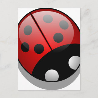 Carte Postale Coccinelle