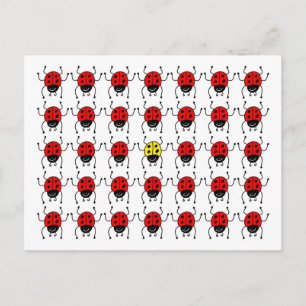 Carte Postale coccinelle perdue
