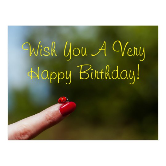 Carte Postale Coccinelle Sur Le Souhait De Joyeux Anniversaire Zazzle Ca