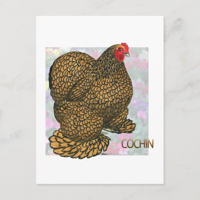 Carte Postale Cochin :  Hen doré (Devant)