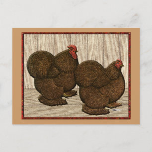 Carte Postale Cochines : Bantams rouges texturés