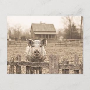 Carte Postale Cochon à la ferme style Vintage
