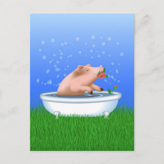 Carte Postale Cochon dans le bain