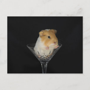 Carte Postale Cochon de Guinée dans un verre à vin