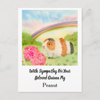 Carte Postale Cochon d'Inde Sympathie Arc-en-ciel avec Œillets N