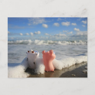 Carte Postale cochon et vache à la plage