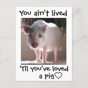 Carte Postale Cochon lovin