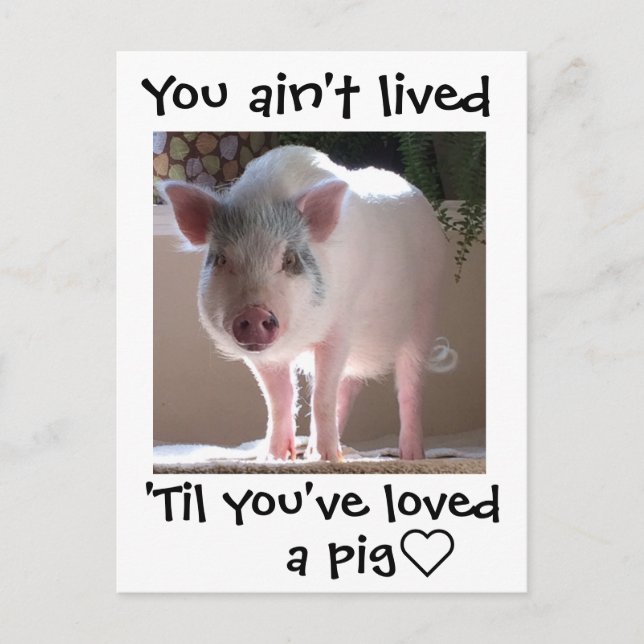 Carte Postale Cochon lovin (Devant)