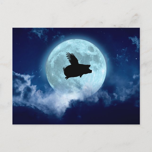 Carte Postale Cochon volant nocturne (Devant)