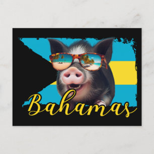 Carte Postale Cochons Nageurs des Bahamas - Aventure à la Plage 