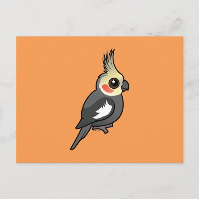 Carte Postale Cockatiel (Devant)