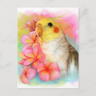 Carte Postale Cockatiel avec frangipani