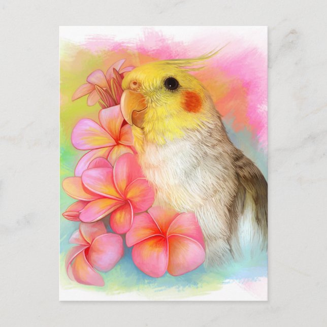 Carte Postale Cockatiel avec frangipani (Devant)