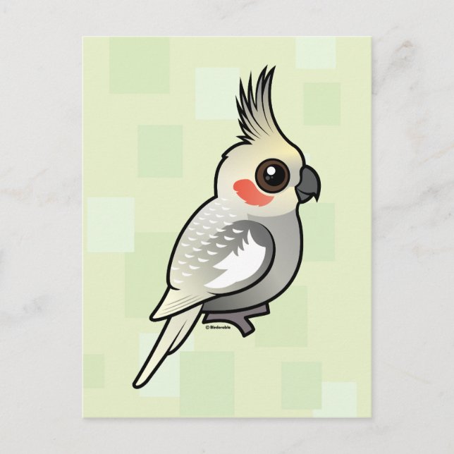 Carte Postale Cockatiel écorché (Devant)
