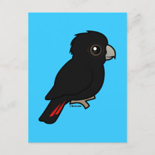 Carte Postale Cockatoo noir à queue rouge