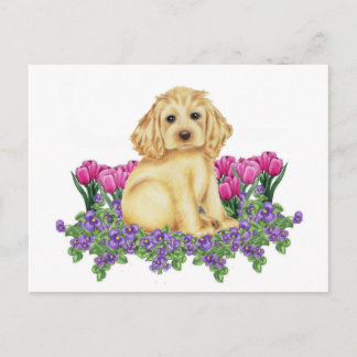 Carte Postale Cocker Spaniel