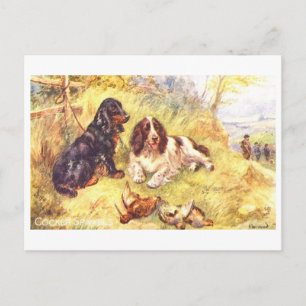 Carte Postale Cocker Spaniels vintage