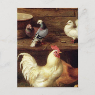 Carte Postale Cockerel Hen Et Époux Avec Pigeons Animaux De Ferm