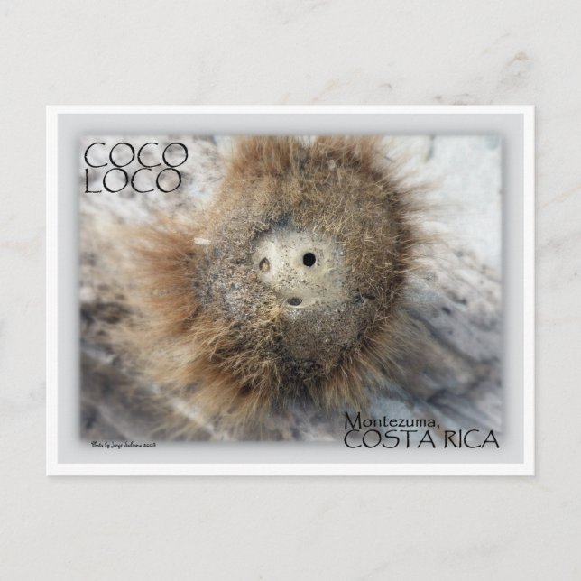 CARTE POSTALE COCO LOCO NUT (Devant)