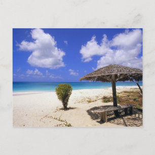 Carte Postale Coco Point Beach, Barbuda, Antigua