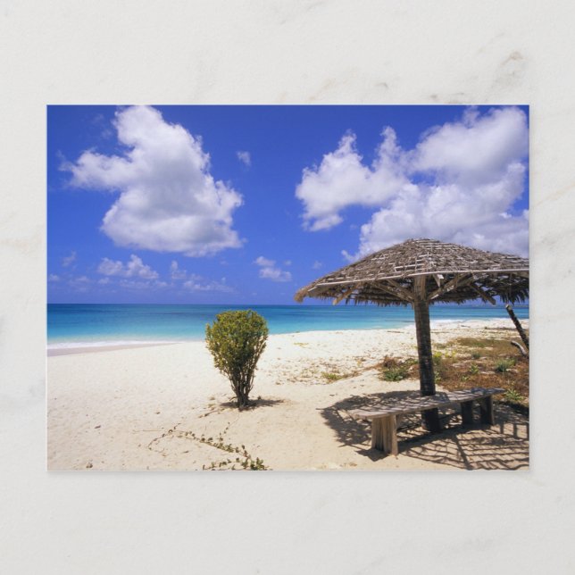 Carte Postale Coco Point Beach, Barbuda, Antigua (Devant)