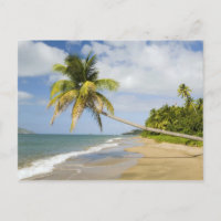 Coconut Grove Beach à Cades Bay, avec St. 2
