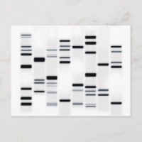 Code ADN noir sur blanc