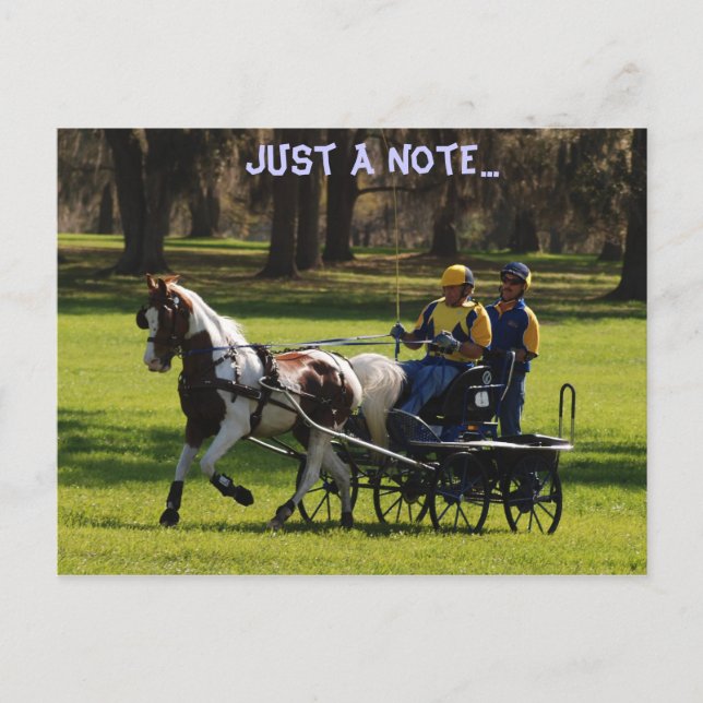 Carte Postale Code de chêne en direct (Devant)