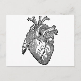 Carte Postale Coeur anatomique vintage