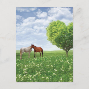 Carte Postale Coeur Arbre Et Chevaux