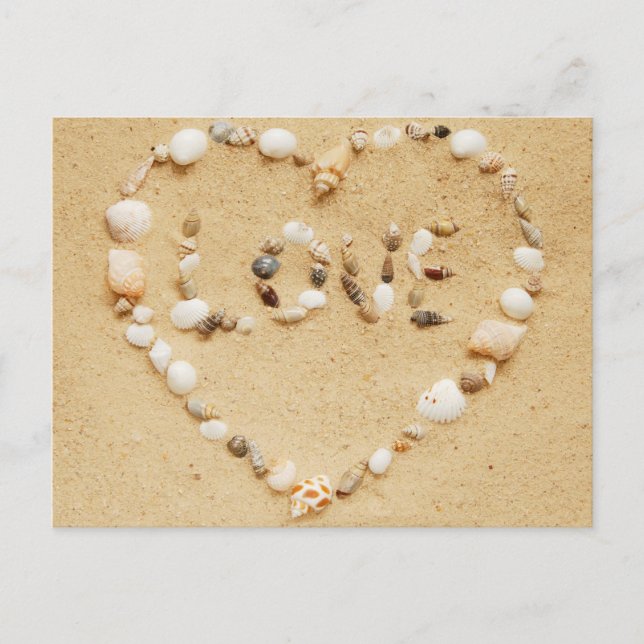 Carte Postale Coeur d'amour Sea Shell (Devant)