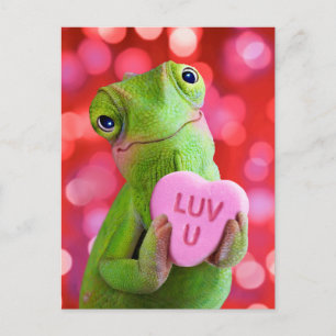 Carte Postale Cœur de Caméléon (Amour de toi)
