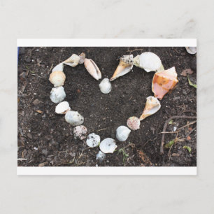 Carte Postale coeur des coquillages