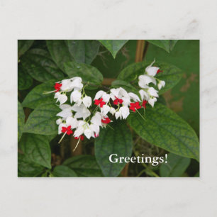 Carte postale Coeur saignant