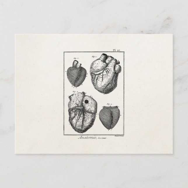 Carte Postale Coeurs cardiaques rétro Cardiac des années 1800 vi (Devant)