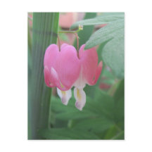 Coeurs Saignants~ Deux Coeurs Comme Un