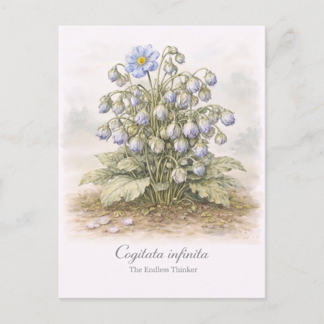Carte Postale Cogitata infinita - Le Botaniste du Penseur Infini (Devant)