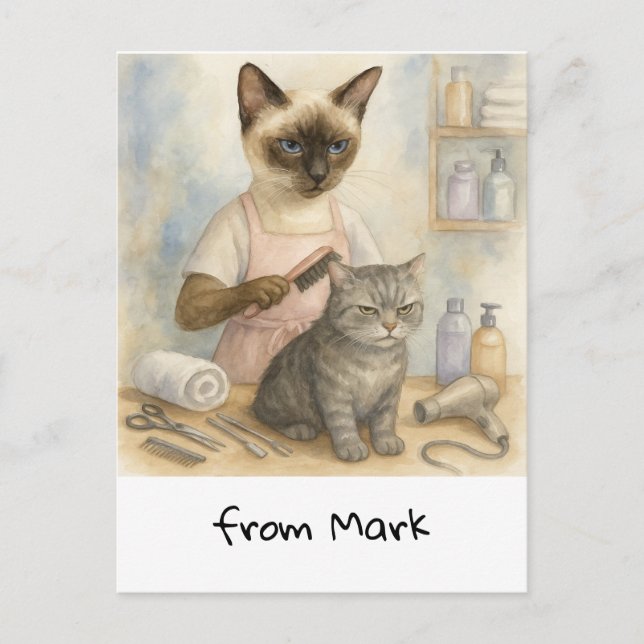 Carte Postale Coiffeur de chat (Devant)